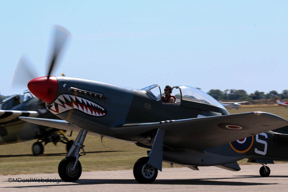 P-51_shark_2015-07-102.jpg