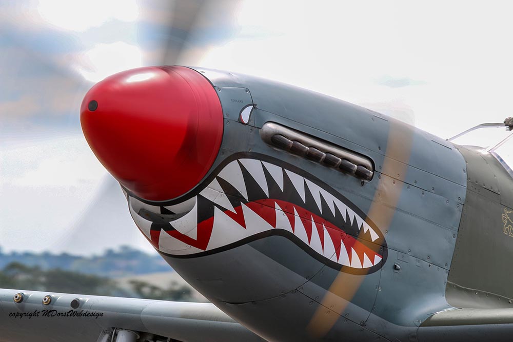 P-51_Shark_KH774_Duxford_2015_1.jpg